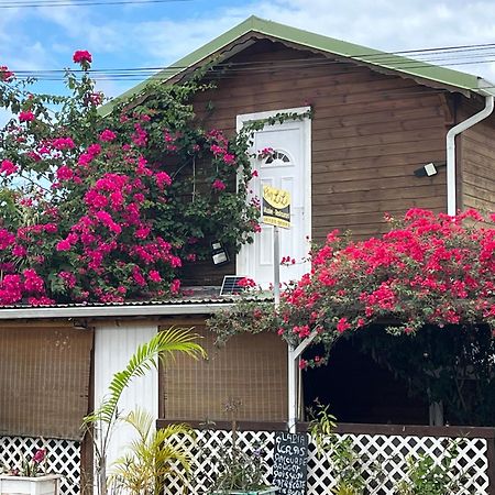 Le Cosy Bungalow De Lili / 5Min De L'Aeroport Лез-Абим Экстерьер фото